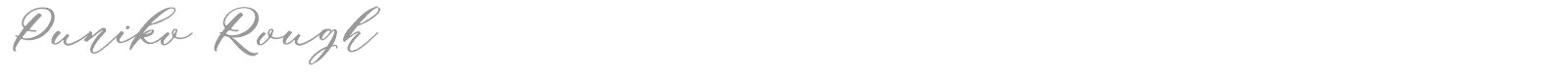 Puniko Rough font preview